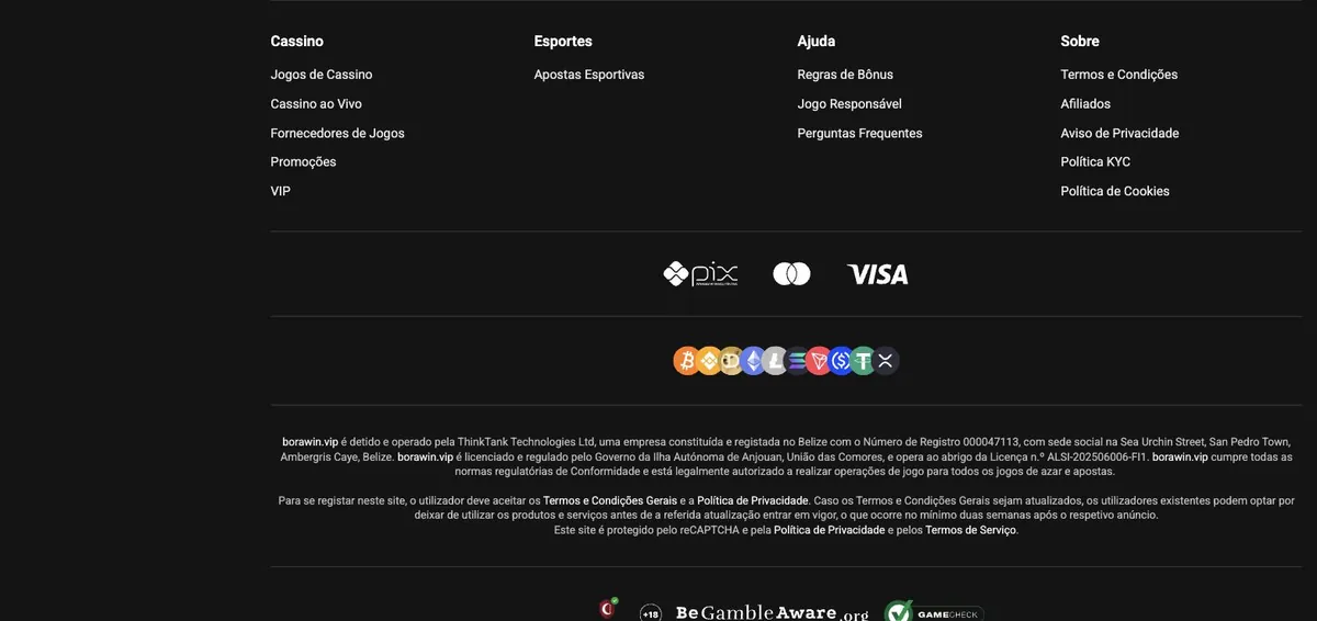 Borawin saque - Pix, Mastercard, Visa e criptomoedas no rodapé do site